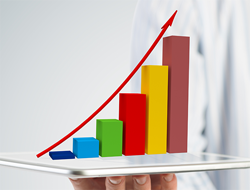 完整基础档案,多种统计报表